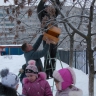Наши папы помогают вешать кормушки Наши папы помогают вешать кормушки