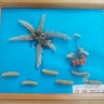 Морской берег Морской берег