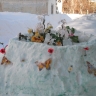 DSCN1142.JPG