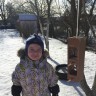 Поможем зимующим птицам Поможем зимующим птицам