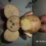 чебурашка чебурашка