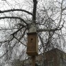 Кормушка для пичужки Кормушка для пичужки