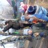 Поможем птицам зимой Поможем птицам зимой