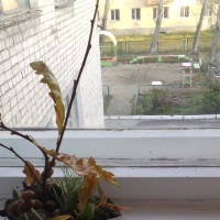 Осеннее настроение Осеннее настроение