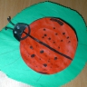 Божья коровка Божья коровка
