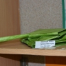 Военный танк Военный танк