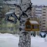 Кормушка своими руками Кормушка своими руками