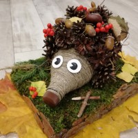 Вот такой я ёж Вот такой я ёж