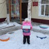 кормушки для пичужки кормушки для пичужки