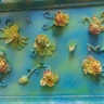 Картина из ракушек. Картина из ракушек.