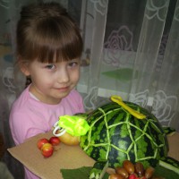 Черепаха Тортилла Черепаха Тортилла