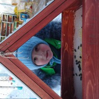 Столовая для птиц Столовая для птиц