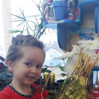Кормушка из природного материала Кормушка из природного материала