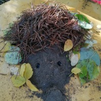 Песочный Ежик