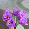 Весенние крокусы Весенние крокусы