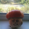 Грибок Грибок