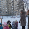 Теремок для птичек Теремок для птичек