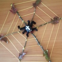 Паук сплел паутину Паук сплел паутину