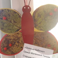 Осенняя бабочка Осенняя бабочка
