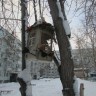 Кормушка с сюрпризом. Кормушка с сюрпризом.