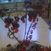 Ежик в лесу