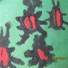 Божьи коровки Божьи коровки
