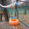 Кормушка для птиц из тыквы. Кормушка для птиц из тыквы.