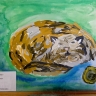 Кот Симка Кот Симка