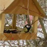 Кормушка для птиц. Кормушка для птиц.