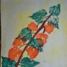 Физалис. Физалис.