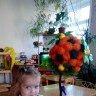 декоративная яблоня декоративная яблоня