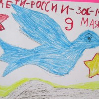 Голубь мира Голубь мира