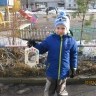Трактир для птичек Трактир для птичек