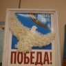 Голубь мира Голубь мира
