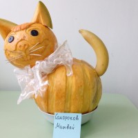осенний котик осенний котик