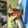 змей-горыныч змей-горыныч
