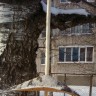 Кормушка для птиц из природных материалов Кормушка для птиц из природных материалов