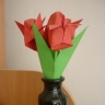 тюльпаны тюльпаны