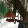 Поможем птичкам зимой. Поможем птичкам зимой.