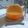 Апельсиновая кормушка Апельсиновая кормушка