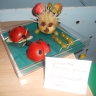 Ёжик и божьи коровки Ёжик и божьи коровки