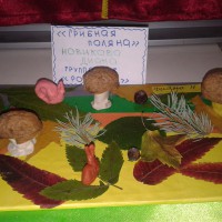 Грибная поляна. Грибная поляна.