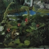 Осенний лес Осенний лес