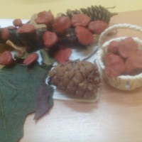 Опенки на бревне Опенки на бревне