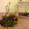 Осенний лес Осенний лес
