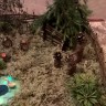 Утро в лесу Утро в лесу