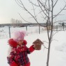 Кормушка для пичужки Кормушка для пичужки