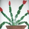 SSA42856.JPG SSA42856.JPG