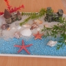 DSCN1871.JPG DSCN1871.JPG