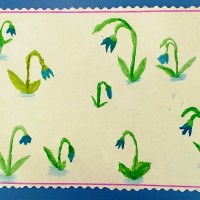 Первоцветы Первоцветы